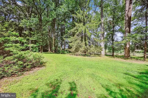 111 Ednor Rd, Silver Spring, MD 20905 photo 10