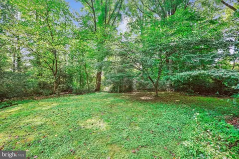 111 Ednor Rd, Silver Spring, MD 20905 photo 6