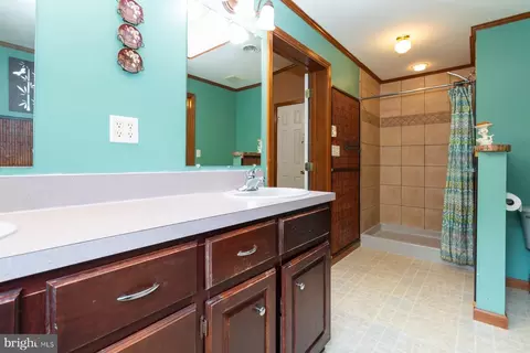 Bath - 713 Anderson St, Silver Spring, MD 20904 photo 3 of 3