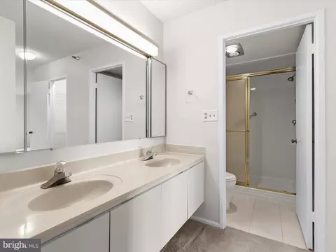 Bath - 15101 Interlachen Dr #1-914, Silver Spring, MD 20906 photo 1 of 6