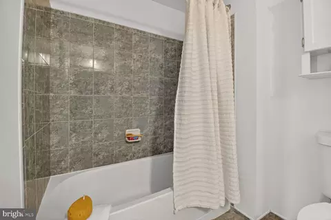 Bath - 930 Wayne Ave #1210, Silver Spring, MD 20910 photo 2 of 2