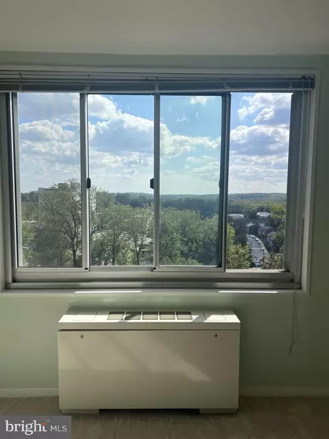 Other - 1900 Lyttonsville Rd #1308, Silver Spring, MD 20910 photo 10 of 18