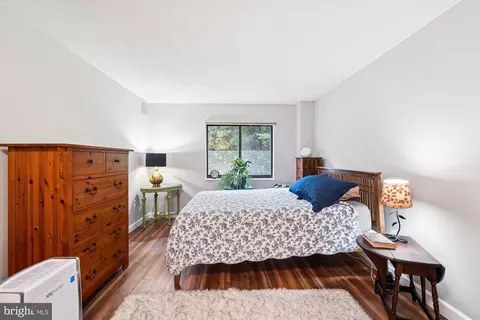 Bedroom - 15107 Interlachen Dr #2-108, Silver Spring, MD 20906 photo 1 of 2