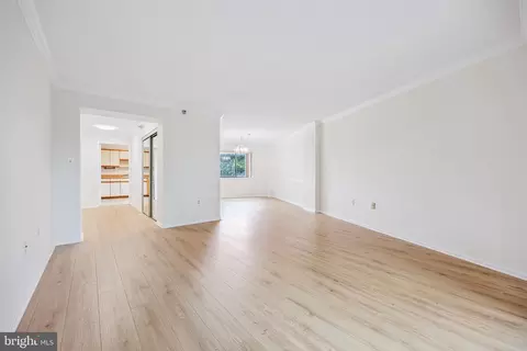 15100 Interlachen Dr #4-812, Silver Spring, MD 20906 photo 22