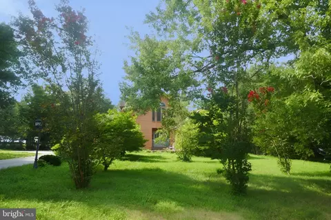 2519 Briggs Chaney Rd, Silver Spring, MD 20905 photo 7