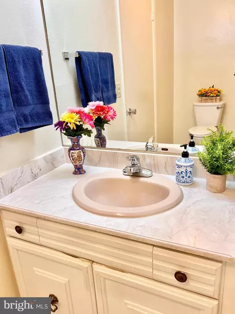 Bath - 3458 Chiswick Ct #42-E, Silver Spring, MD 20906 photo 1 of 3