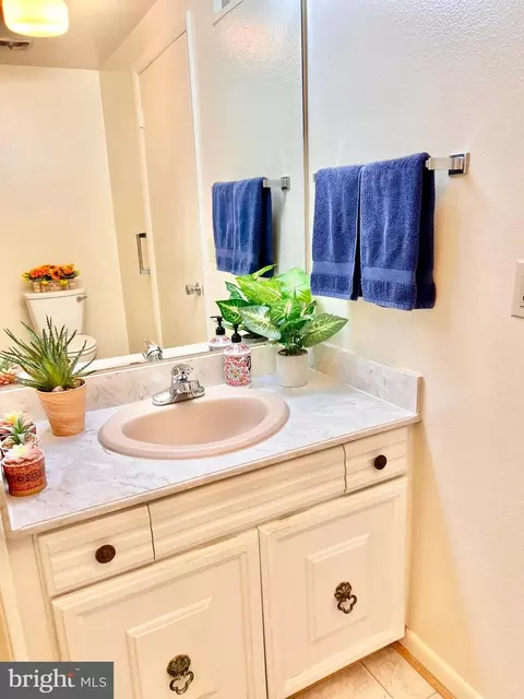 Bath - 3458 Chiswick Ct #42-E, Silver Spring, MD 20906 photo 3 of 3