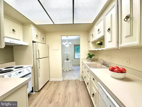 3376 Chiswick Ct #52-3C, Silver Spring, MD 20906 photo 17