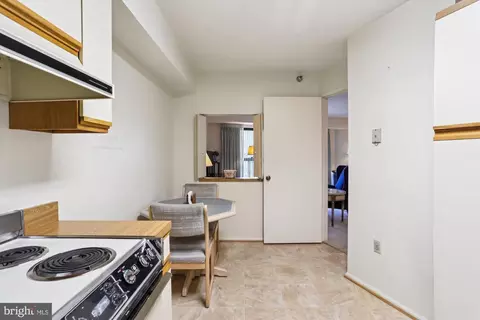 15100 Interlachen Dr #4-717, Silver Spring, MD 20906 photo 13