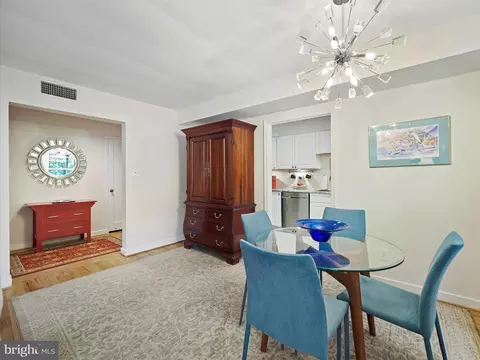 2214 Washington Ave #103, Silver Spring, MD 20910 photo 8