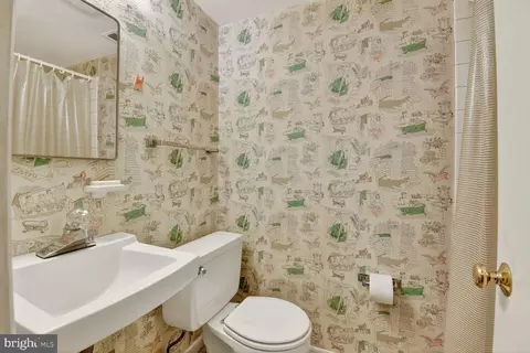 Bath - 1335 Chilton Dr, Silver Spring, MD 20904 photo 4 of 4