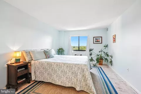 15101 Interlachen Dr #1-1015, Silver Spring, MD 20906 photo 12