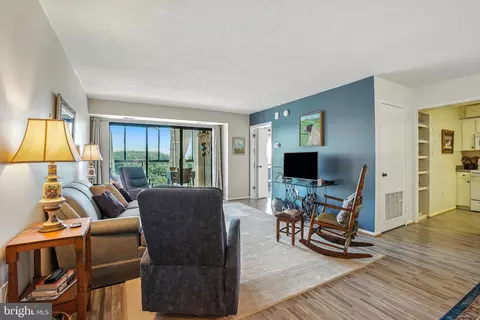 15101 Interlachen Dr #1-1015, Silver Spring, MD 20906 photo 5