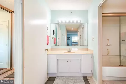 15101 Interlachen Dr #1-1015, Silver Spring, MD 20906 photo 15