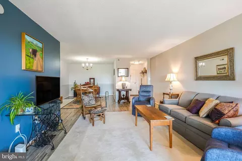 15101 Interlachen Dr #1-1015, Silver Spring, MD 20906 photo 4