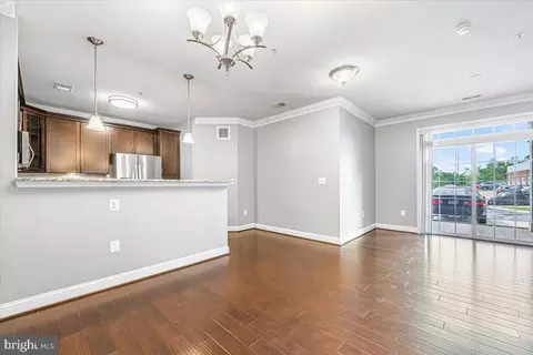 Living - 3911 Doc Berlin Dr #14, Silver Spring, MD 20906 photo 3 of 6