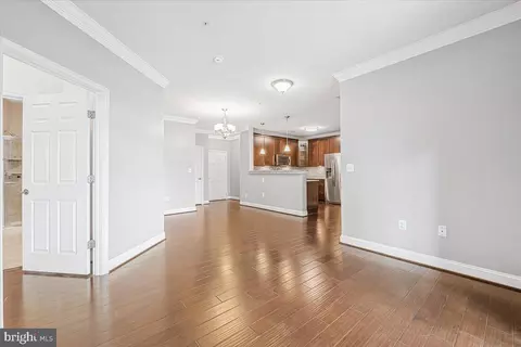 Living - 3911 Doc Berlin Dr #14, Silver Spring, MD 20906 photo 1 of 6
