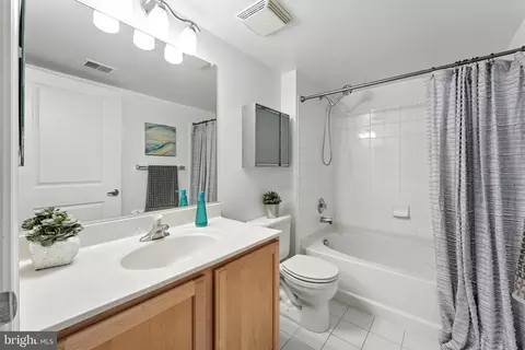 Bath - 7923 Eastern Ave #303, Silver Spring, MD 20910 photo 1 of 2