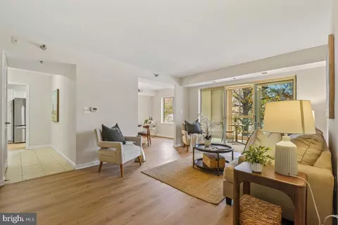 Living - 14801 Pennfield Cir #203, Silver Spring, MD 20906 photo 2 of 3