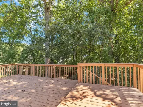Exterior - 14709 Harvest Ln, Silver Spring, MD 20905 photo 6 of 7