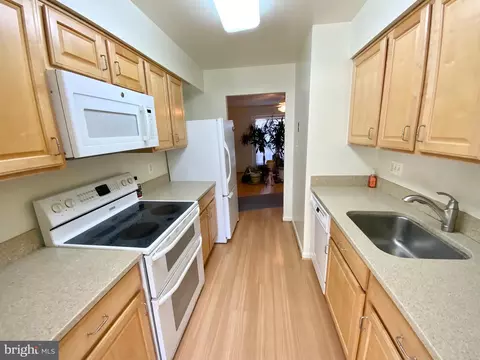 1519 Ingram Ter, Silver Spring, MD 20906 photo 3