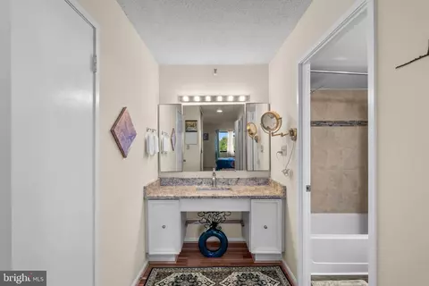 Bath - 15101 Interlachen Dr #1-1022, Silver Spring, MD 20906 photo 1 of 3