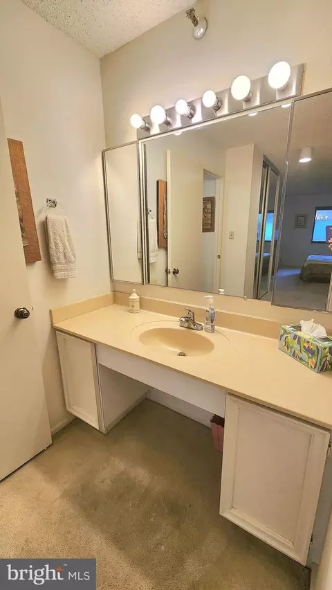 15101 Interlachen Dr #1-315, Silver Spring, MD 20906 photo 8