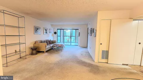15101 Interlachen Dr #1-315, Silver Spring, MD 20906 photo 19