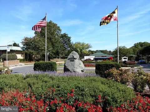 15101 Interlachen Dr #1-823, Silver Spring, MD 20906 photo 25