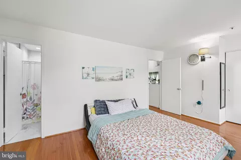 Bedroom - 12014 Swallow Falls Ct, Silver Spring, MD 20904 photo 3 of 9