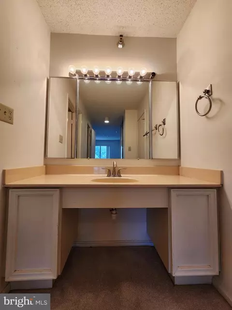15100 Interlachen Dr #4-701, Silver Spring, MD 20906 photo 21