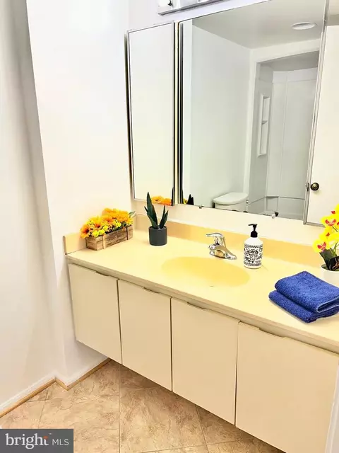 Bath - 15115 Interlachen Dr #3-603, Silver Spring, MD 20906 photo 3 of 3