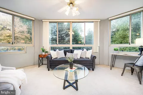 Living - 14805 Pennfield Cir #201, Silver Spring, MD 20906 photo 4 of 4
