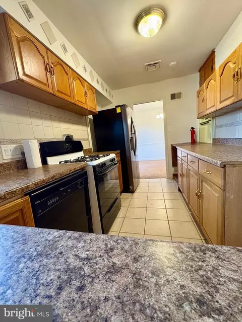 10229 Green Forest Dr, Silver Spring, MD 20903 photo 7