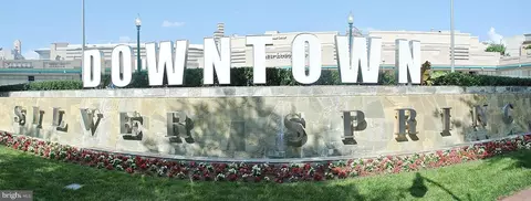 7915 Eastern Ave #1114, Silver Spring, MD 20910 photo 29