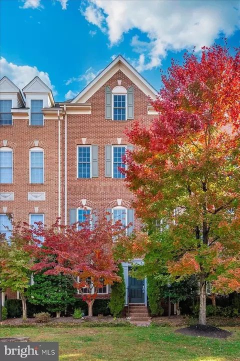 Exterior - 593 Cedar Spring St, Gaithersburg, MD 20877 photo 11 of 12