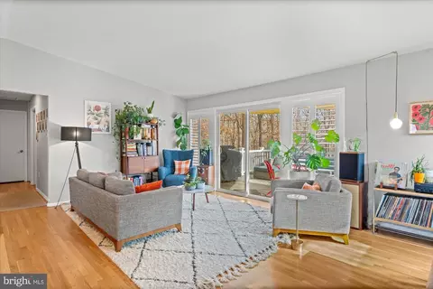 13501 Collingwood Ter, Silver Spring, MD 20904 photo 4