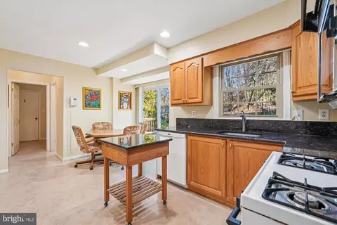 15417 Aylesbury St, Silver Spring, MD 20905 photo 14