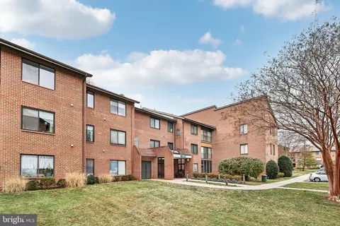 Other - 15310 Pine Orchard Dr #84-1B, Silver Spring, MD 20906 photo 3 of 10
