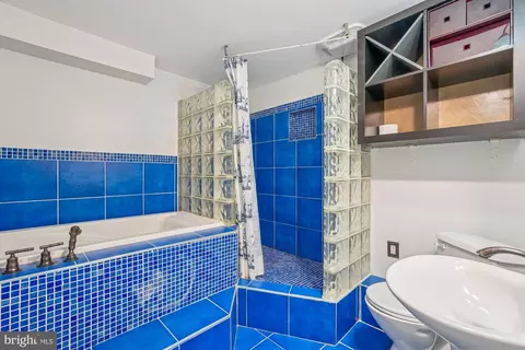 Bath - 1216 Kathryn Rd, Silver Spring, MD 20904 photo 8 of 9