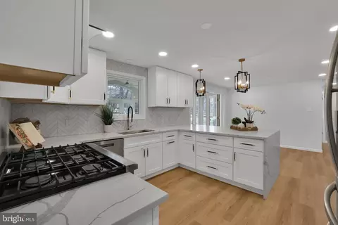 15101 Snowden Dr, Silver Spring, MD 20905 photo 10
