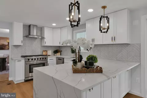 15101 Snowden Dr, Silver Spring, MD 20905 photo 5