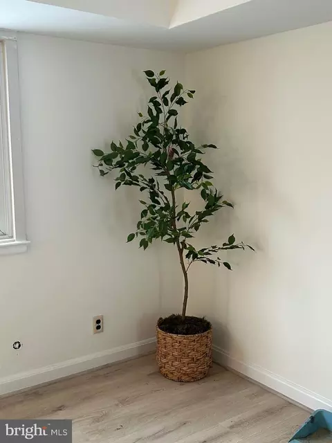 Other - 8542 Manchester Rd #1-6, Silver Spring, MD 20901 photo 1 of 9