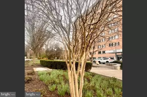 Other - 1900 Lyttonsville Rd #717, Silver Spring, MD 20910 photo 3 of 19