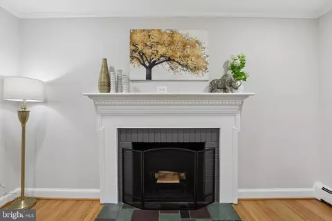 Other - 216 Paula Lynn Dr, Silver Spring, MD 20904 photo 4 of 16