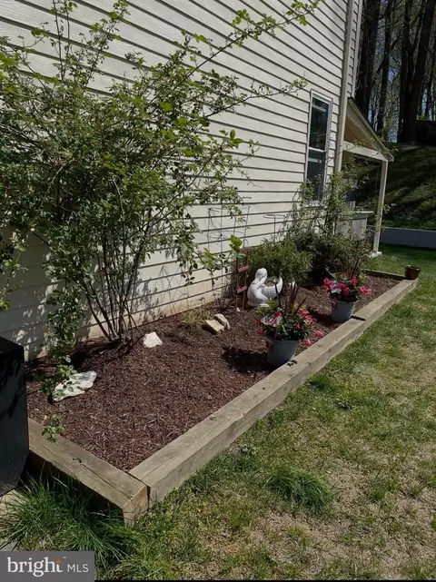 Exterior - 14629 Sandy Ridge Rd, Silver Spring, MD 20905 photo 8 of 9