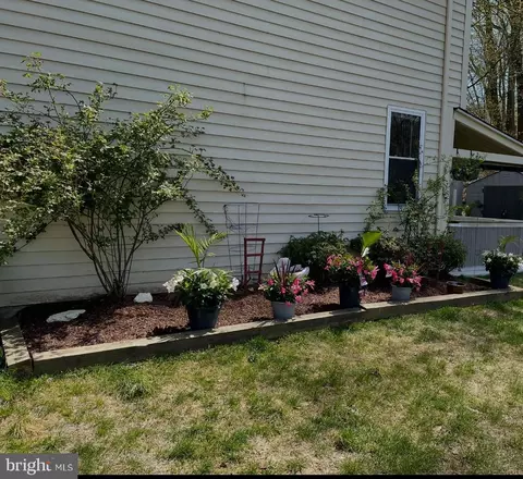 Exterior - 14629 Sandy Ridge Rd, Silver Spring, MD 20905 photo 9 of 9
