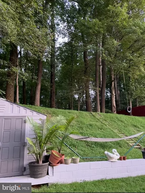 Exterior - 14629 Sandy Ridge Rd, Silver Spring, MD 20905 photo 6 of 9