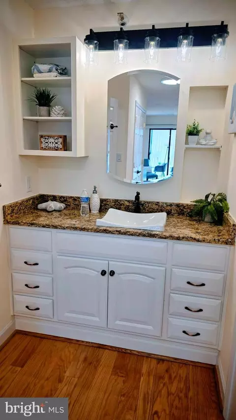 Bath - 15107 Interlachen Dr #2-515, Silver Spring, MD 20906 photo 2 of 3