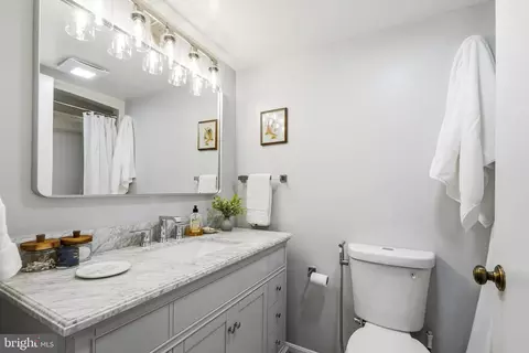15100 Interlachen Dr #4-407, Silver Spring, MD 20906 photo 22